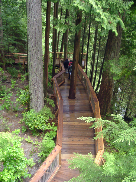 Treetops Adventure boardwalk